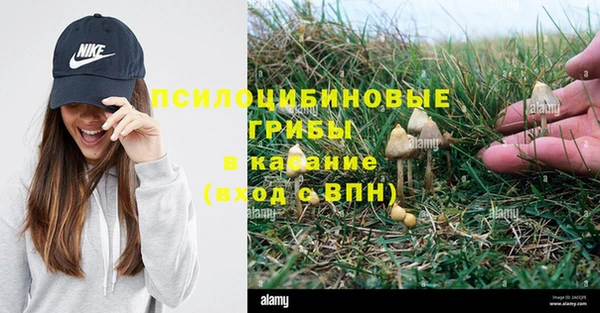 сатива Богородицк