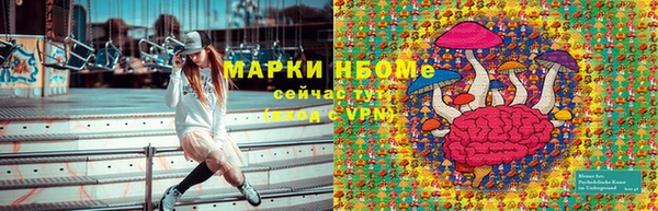 гашиш Богданович