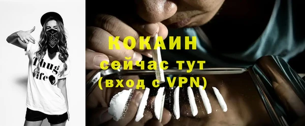 гашиш Богданович