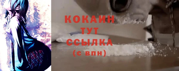 гашиш Богданович