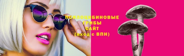 сатива Богородицк