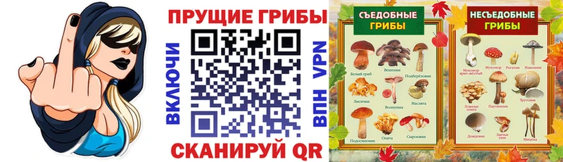 Псилоцибиновые грибы мухоморы  Купить где  Новопавловск 